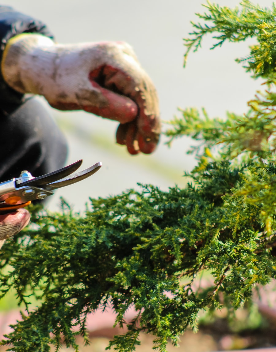 Worker using garden tools with work gloves